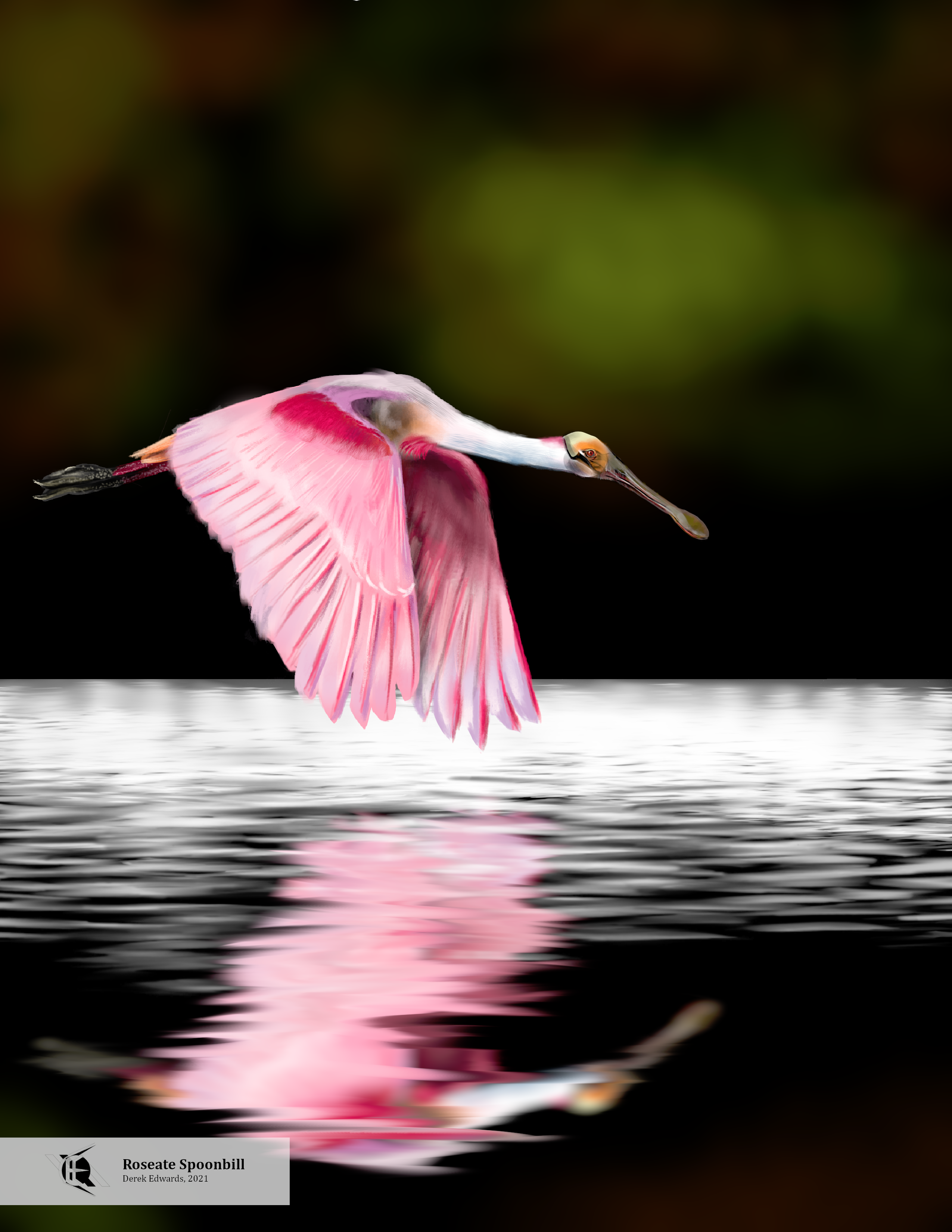 Roseate Spoonbill.png