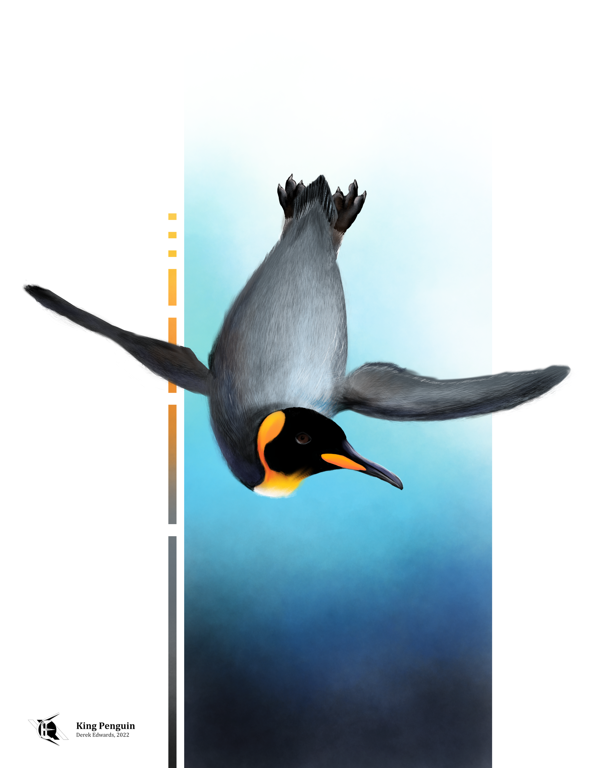 King Penguin.png