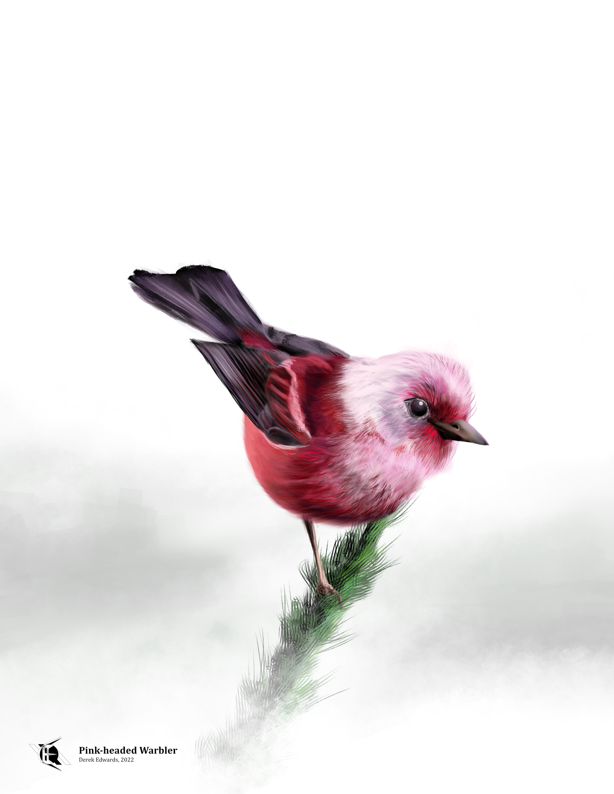 Pink-headed Warbler.png