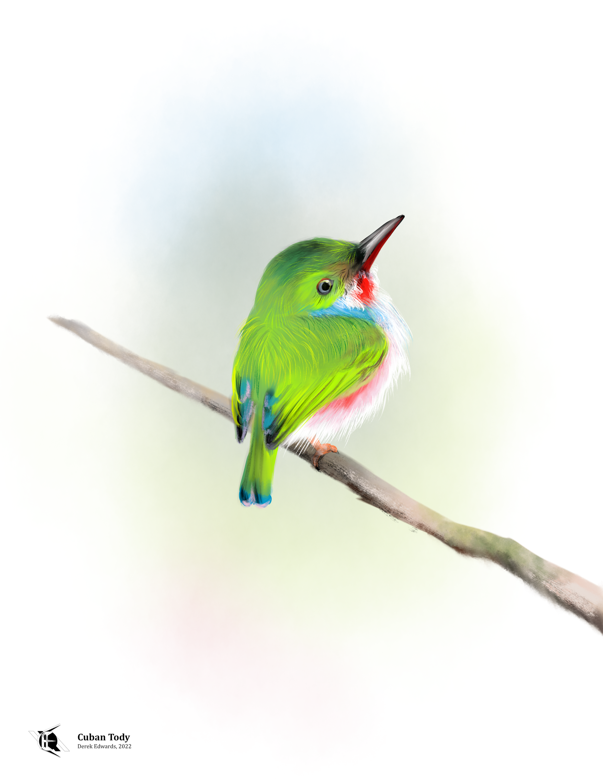 Cuban Tody.png