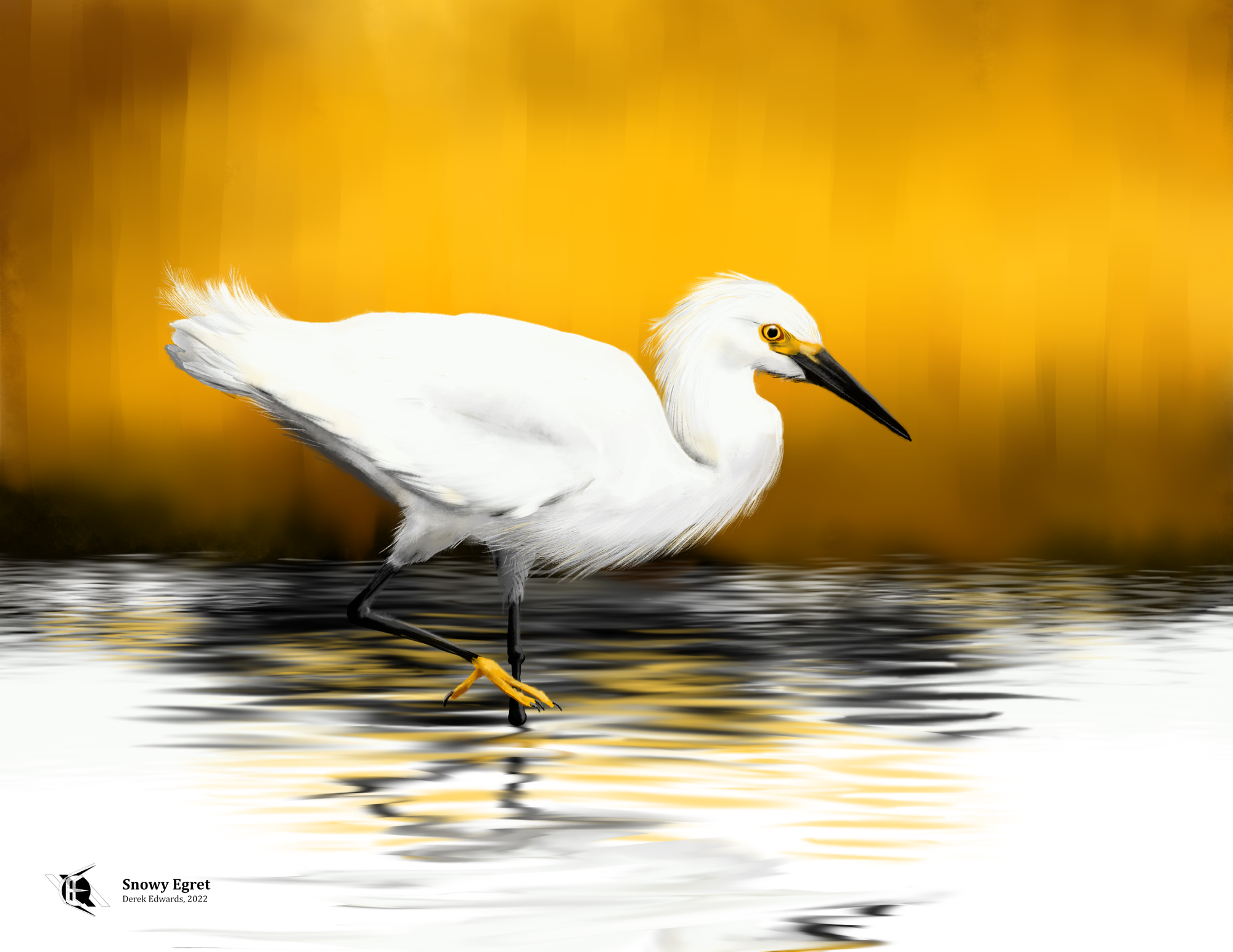 Snowy Egret.png