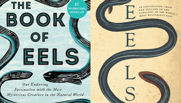 Book Review | The Book of Eels & Eels: An Exploration