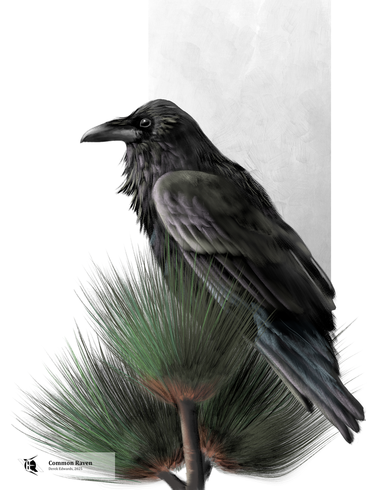 Running Commentary 10/27/2025