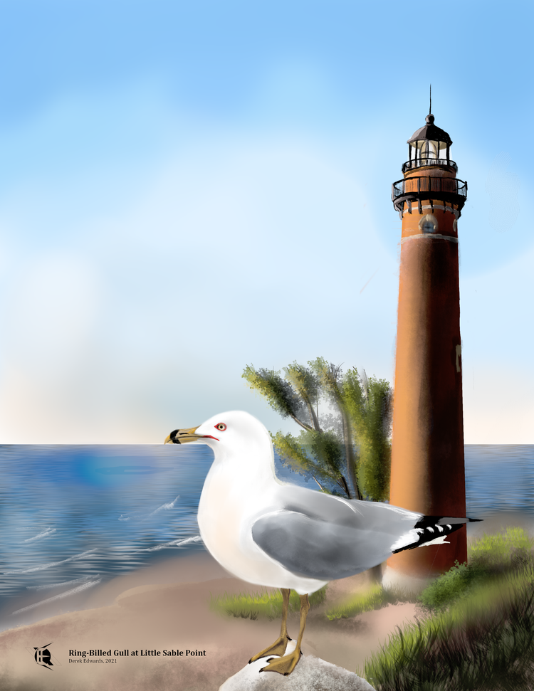 Running Commentary 11/10/2025