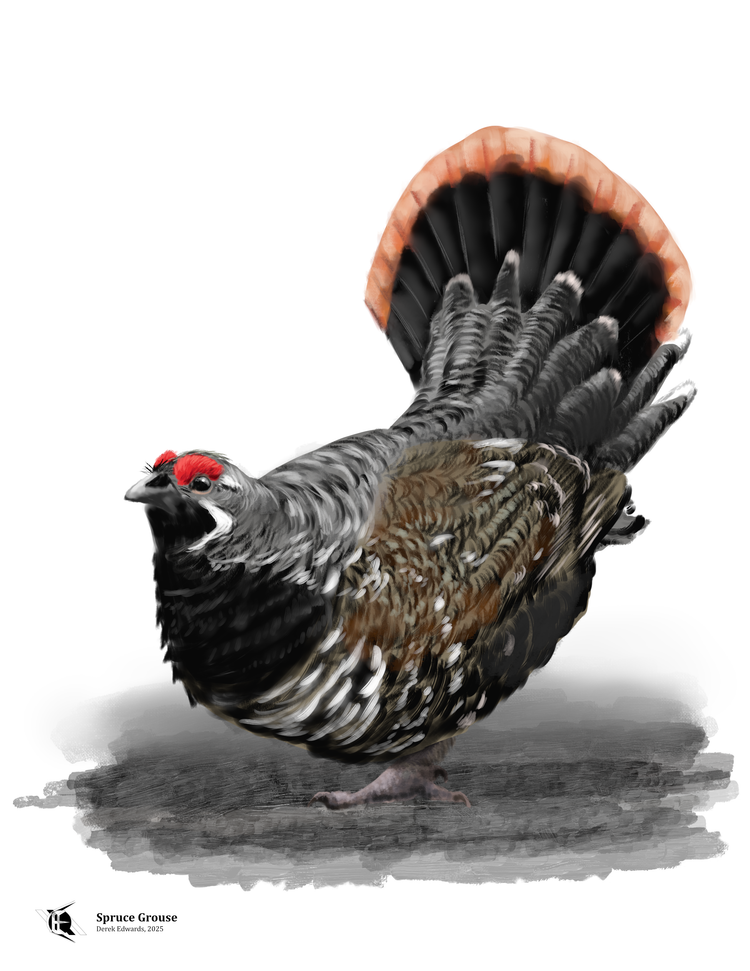 Running Commentary 12/1/2025