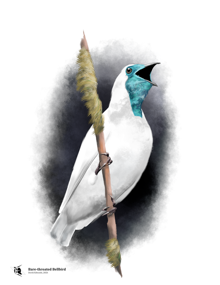 Running Commentary 3/18/2026