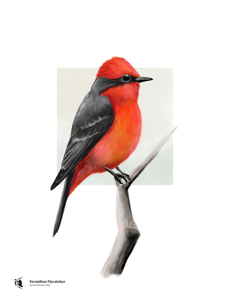 Running Commentary 3/4/2026